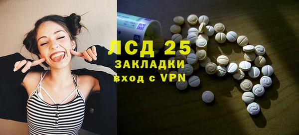 молекула духа Гусев