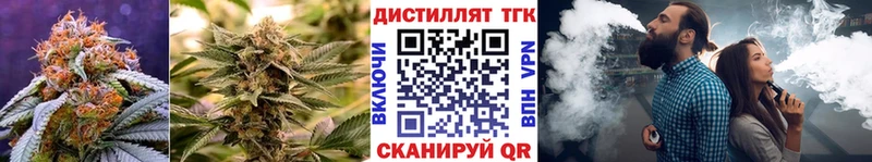 ТГК THC oil  Купить где  Лобня 