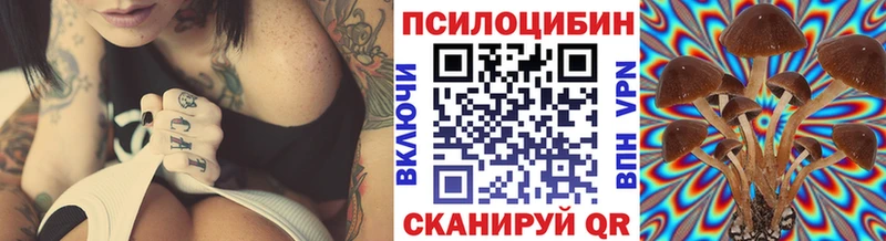 Купить  Лобня  Псилоцибиновые грибы мицелий 